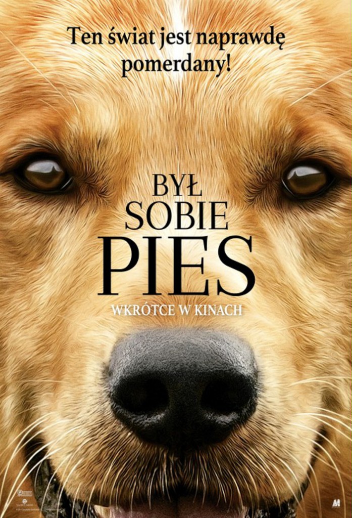 byl_sobie_pies